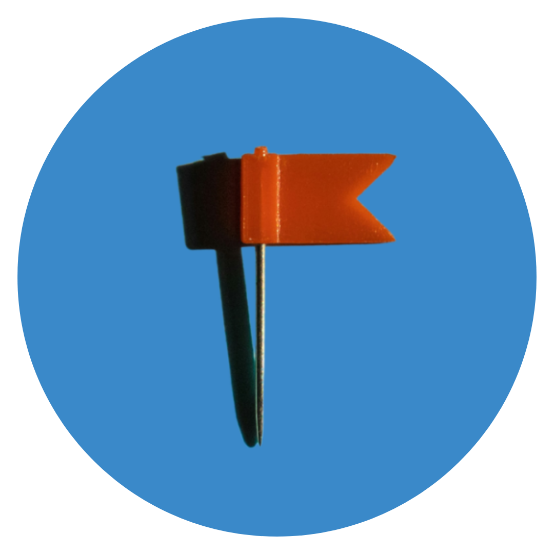 Module 8